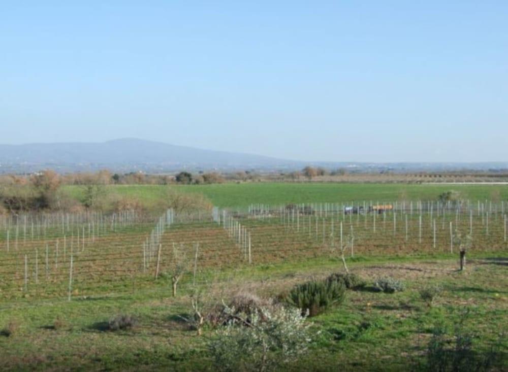 Il Marrugio Landhaus
