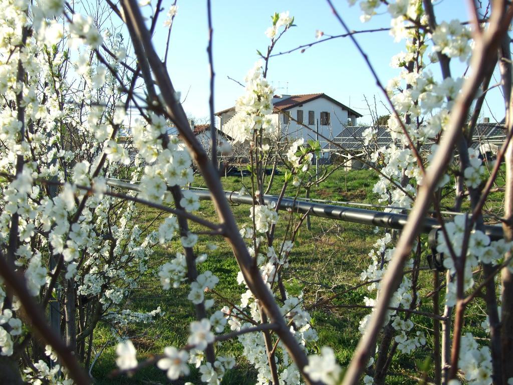 Il Marrugio Landhaus *